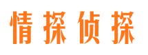 桃源市私家侦探